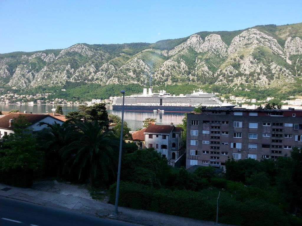 Daire Kralj Kotor